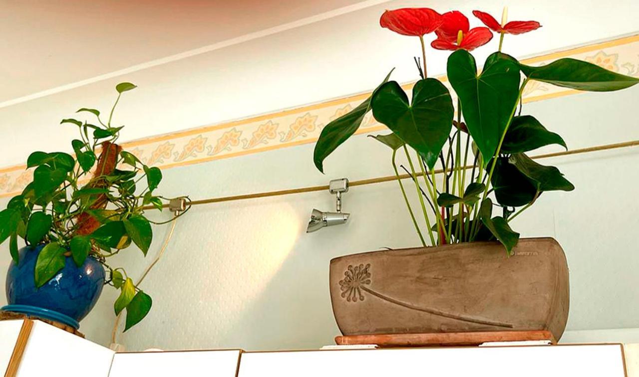 T2 A Pied De Sur Ancien Chic, Samedi A Samedi Appartement *